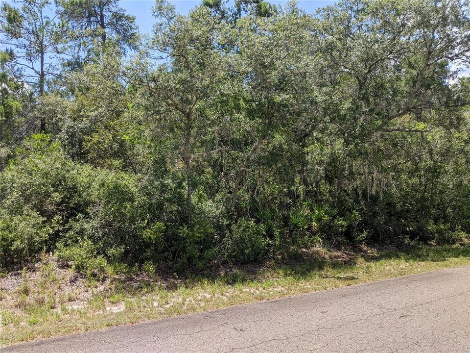 Recently Sold: $16,000 (0.23 acres)