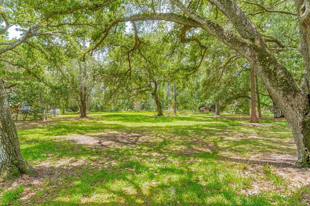 1.8 Acre Property