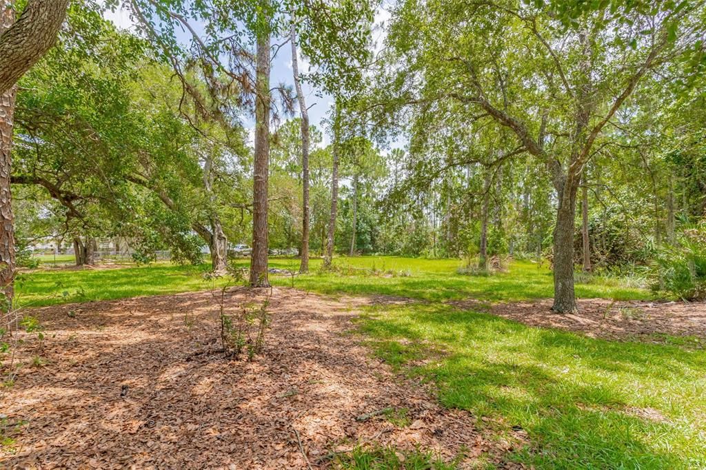 1.8 Acre Property