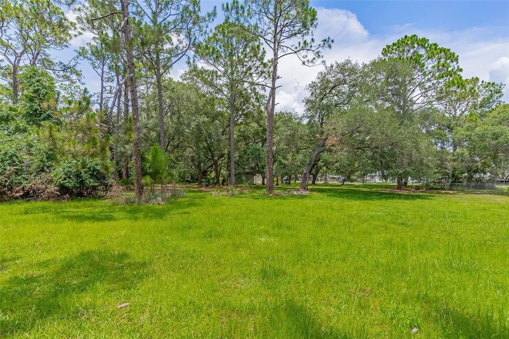 1.8 Acre Property