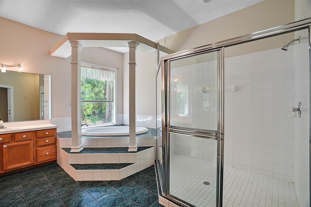 beautiful garden tub and large separate shower