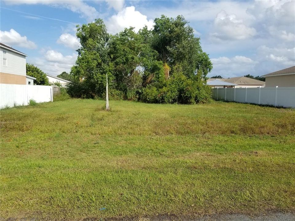 View of partially cleared lot