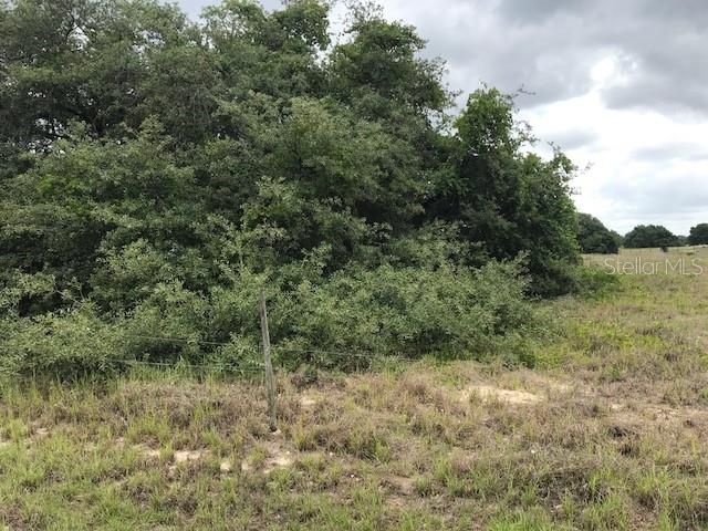 Recently Sold: $39,900 (1.35 acres)