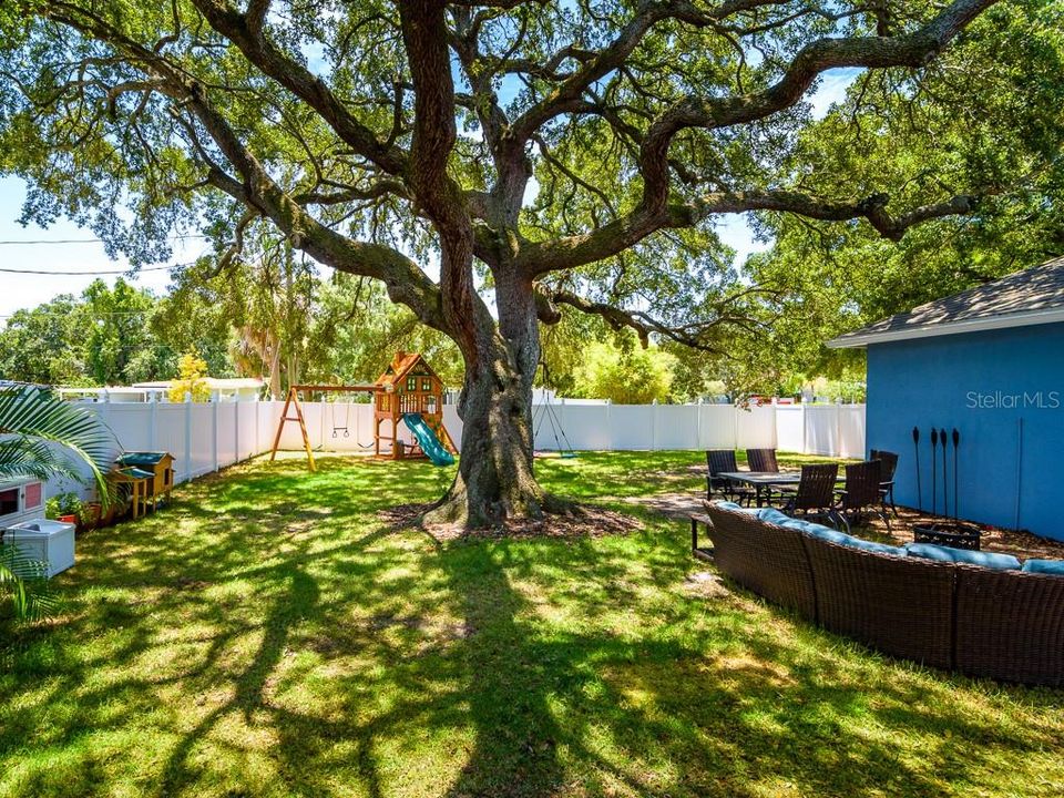 Backyard Patio