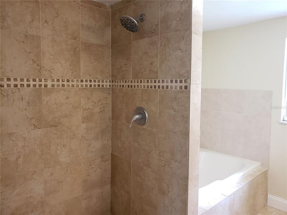 Large Tiled Shower and Huge Bathtub