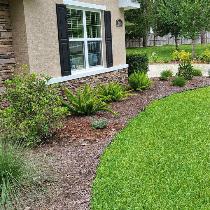 landscaping in front of garage