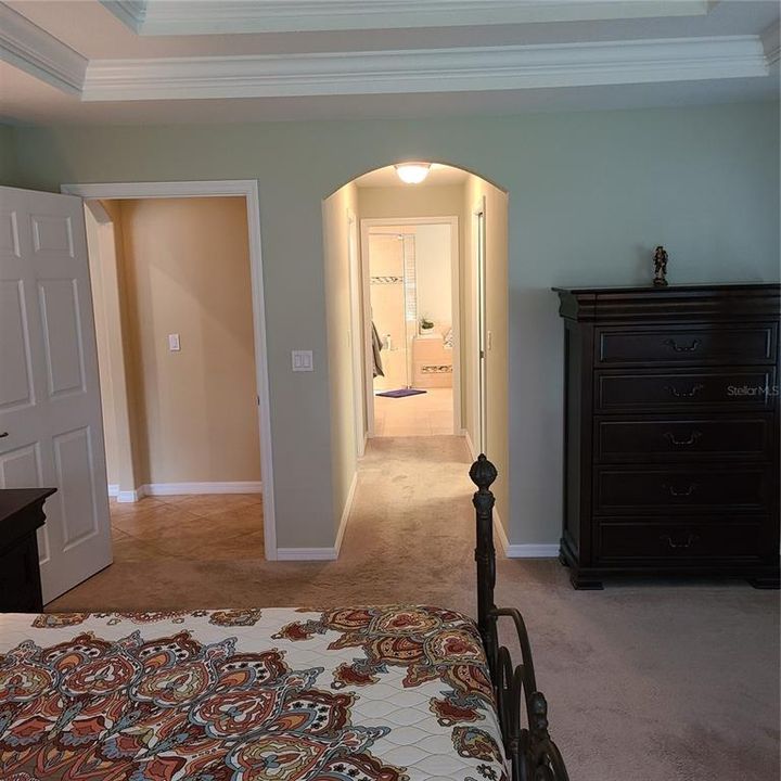 Entrance and hall to closets and master bath
