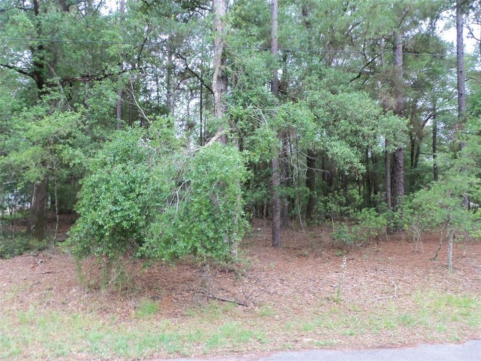 Recently Sold: $29,900 (1.01 acres)