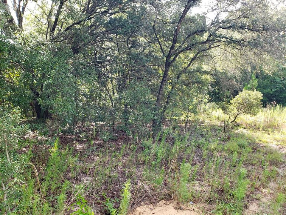 Vendido Recientemente: $16,000 (1.01 acres)