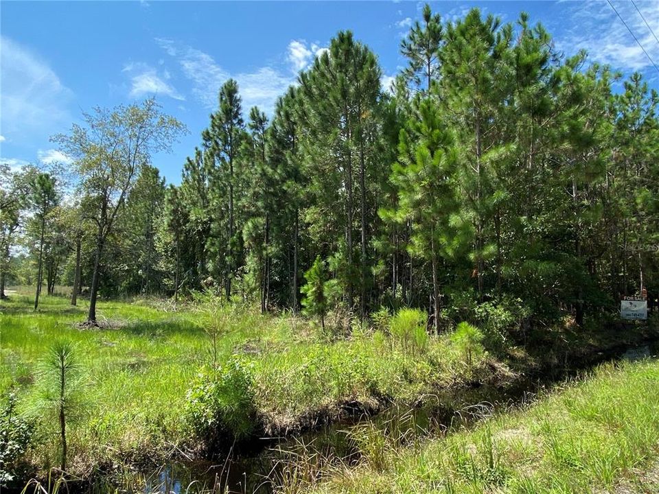 Recently Sold: $109,000 (10.00 acres)