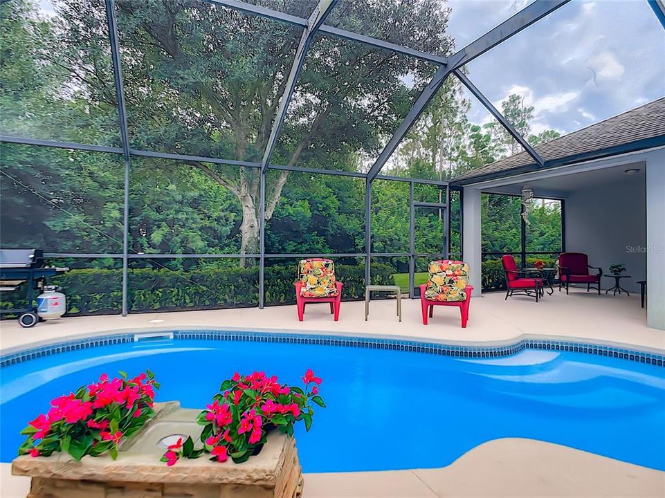 It???s perfect for entertaining family and friends with a sliding glass door that opens to a backyard oasis with a screened lanai, heated pool.