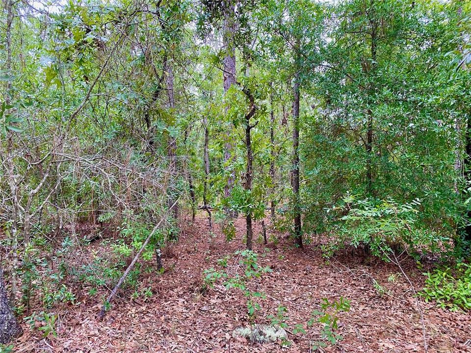 Recently Sold: $14,000 (0.23 acres)