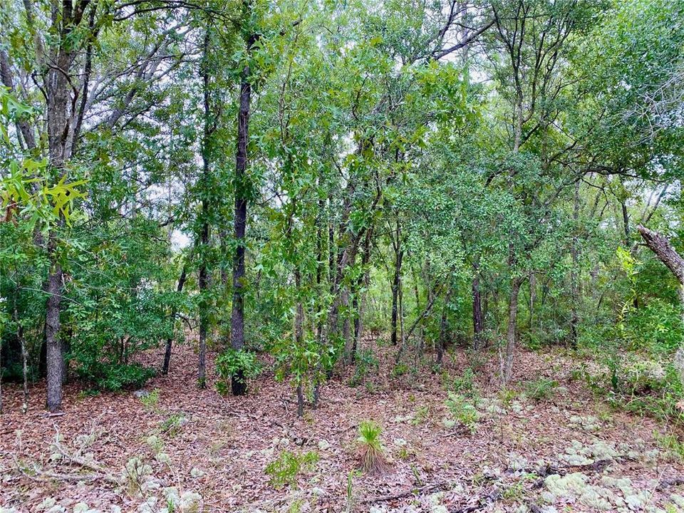 Recently Sold: $14,000 (0.26 acres)
