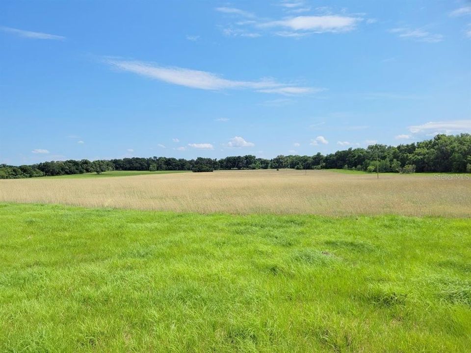 Recently Sold: $174,250 (10.25 acres)