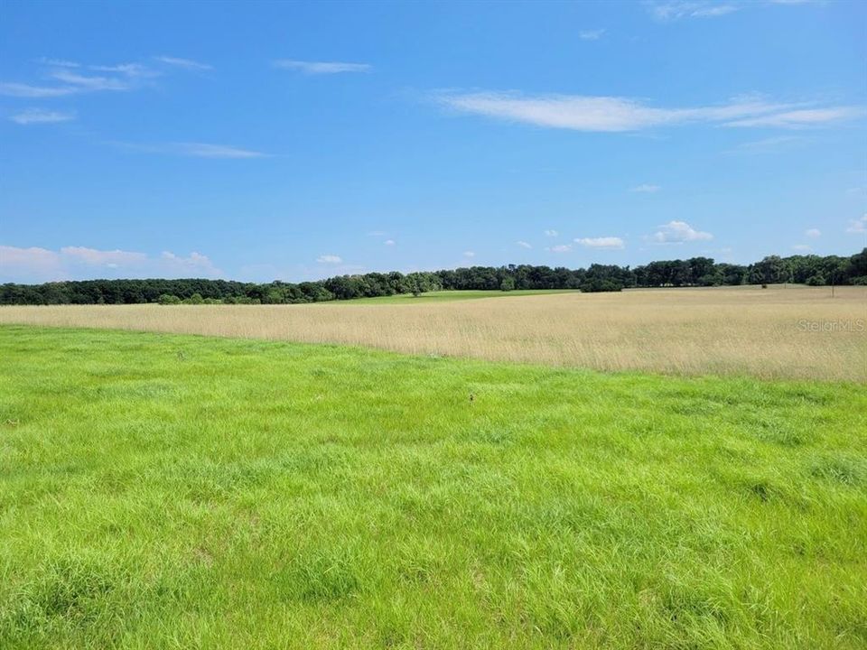 Recently Sold: $174,250 (10.25 acres)