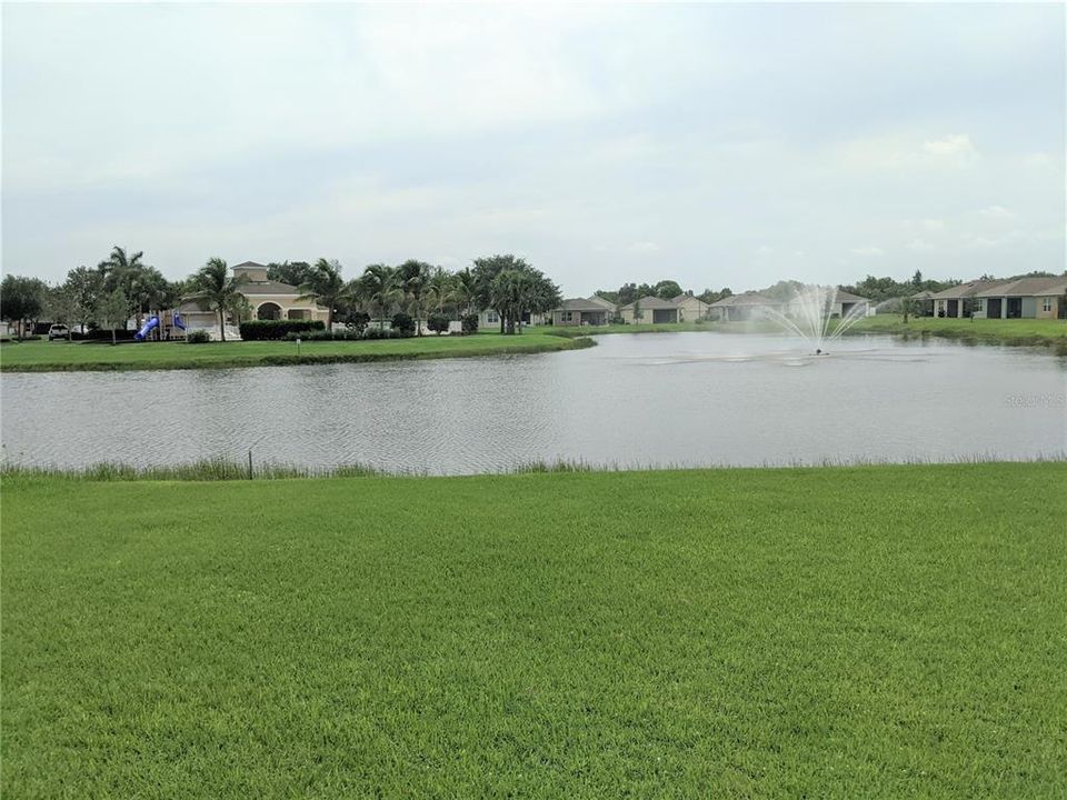 the pond with the fountain