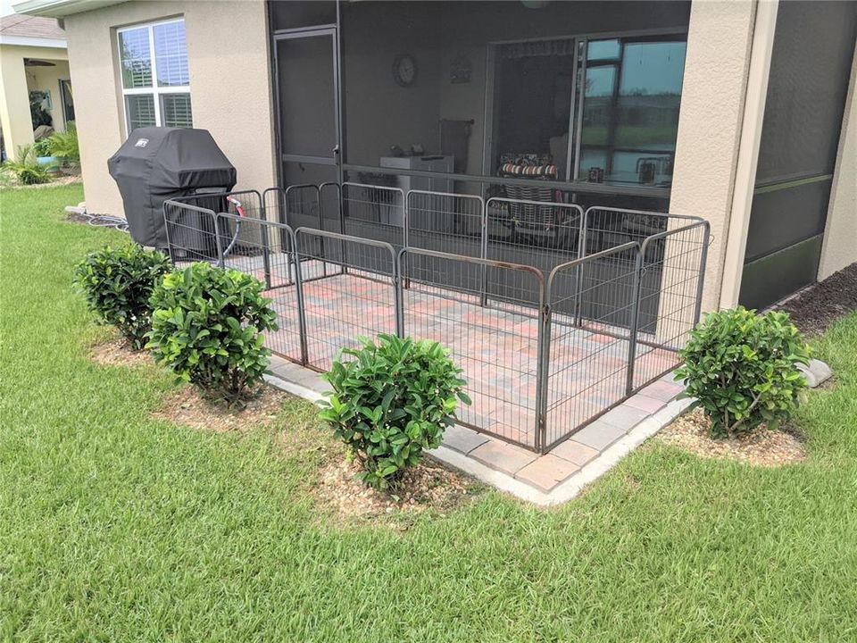 the lanai has been extended into a open paved terrace with Dog fences
