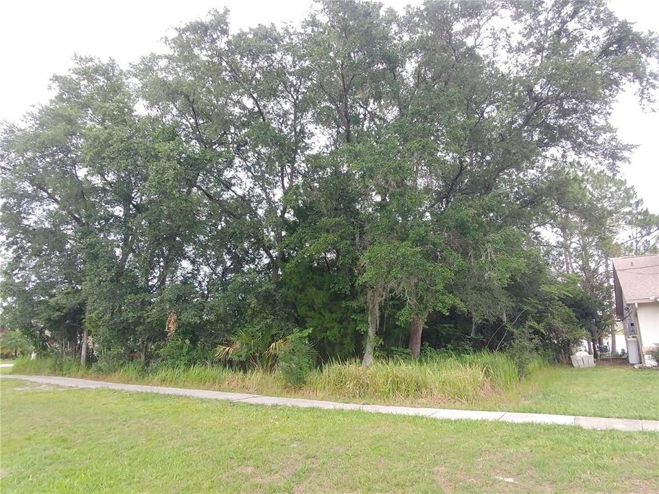Recently Sold: $72,000 (0.25 acres)