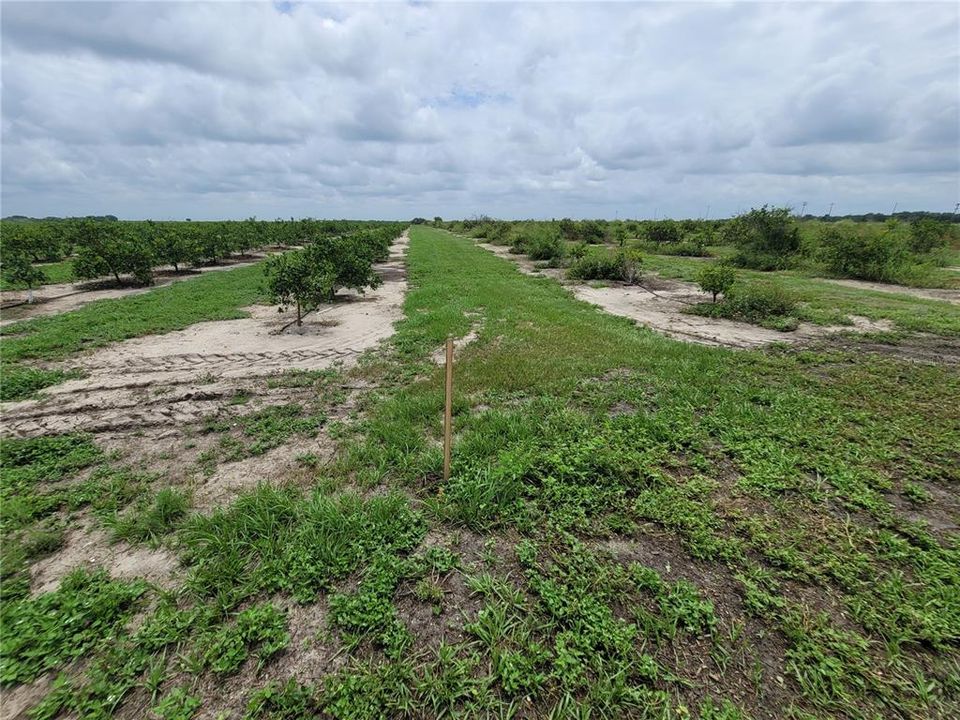 Recently Sold: $159,000 (6.00 acres)