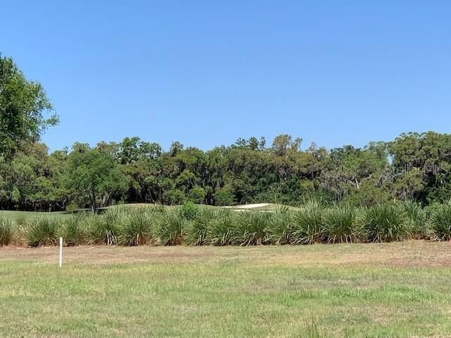 Active With Contract: $930,000 (0.59 acres)