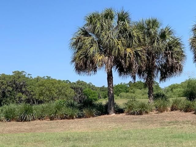 Active With Contract: $930,000 (0.59 acres)