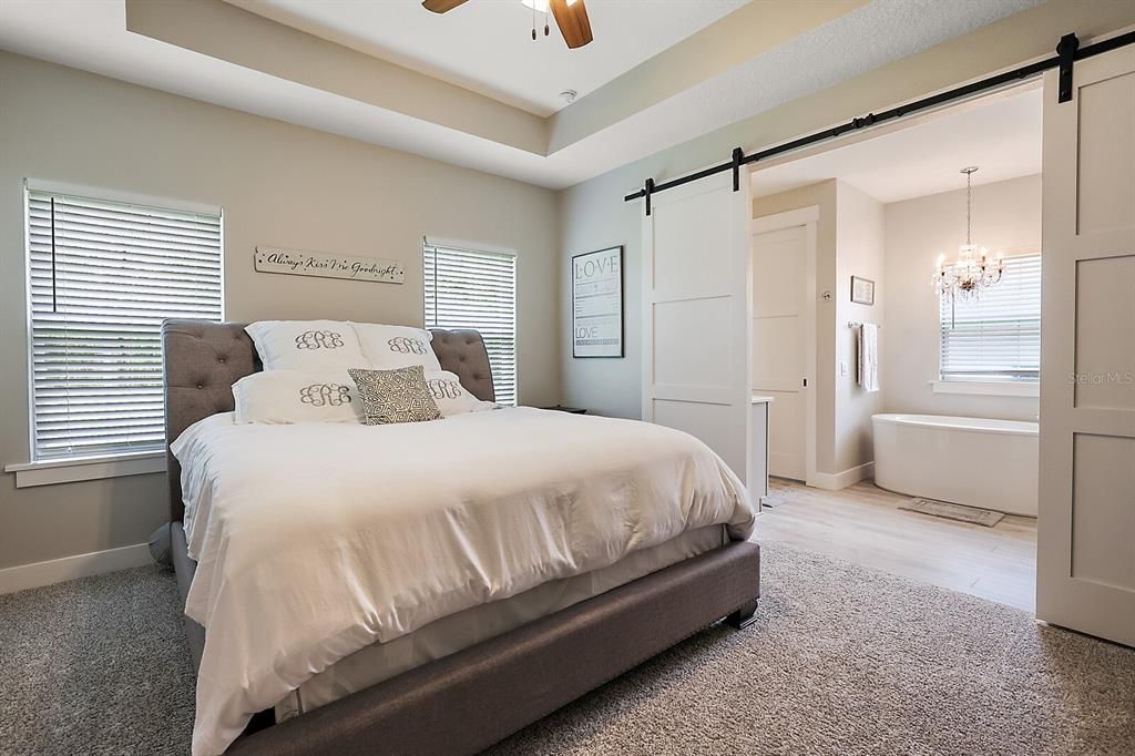 Master Bedroom with tray ceilings