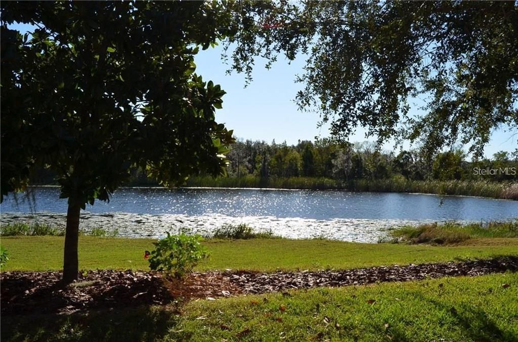 This is the lake view from the patio! Slightly southeast