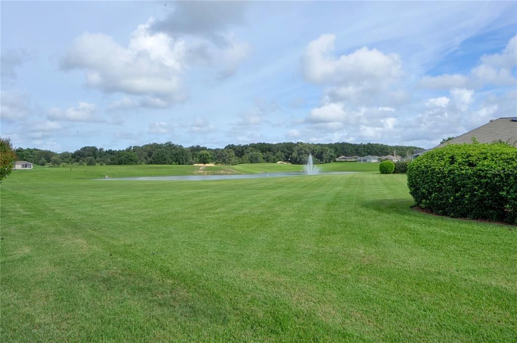 view form back yard