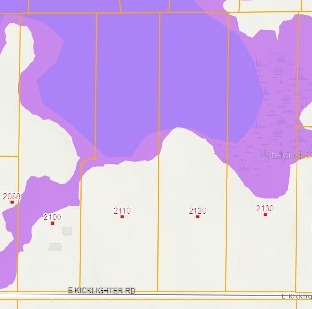 Flood Map from Volusia County Property Appraiser's Website