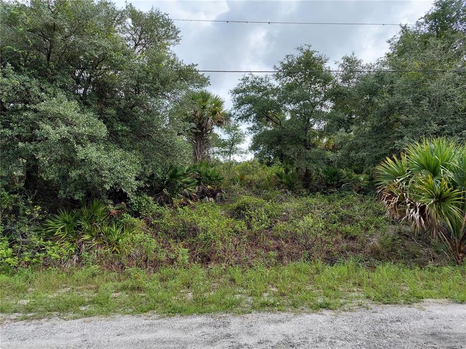 Vendido Recientemente: $12,000 (0.31 acres)