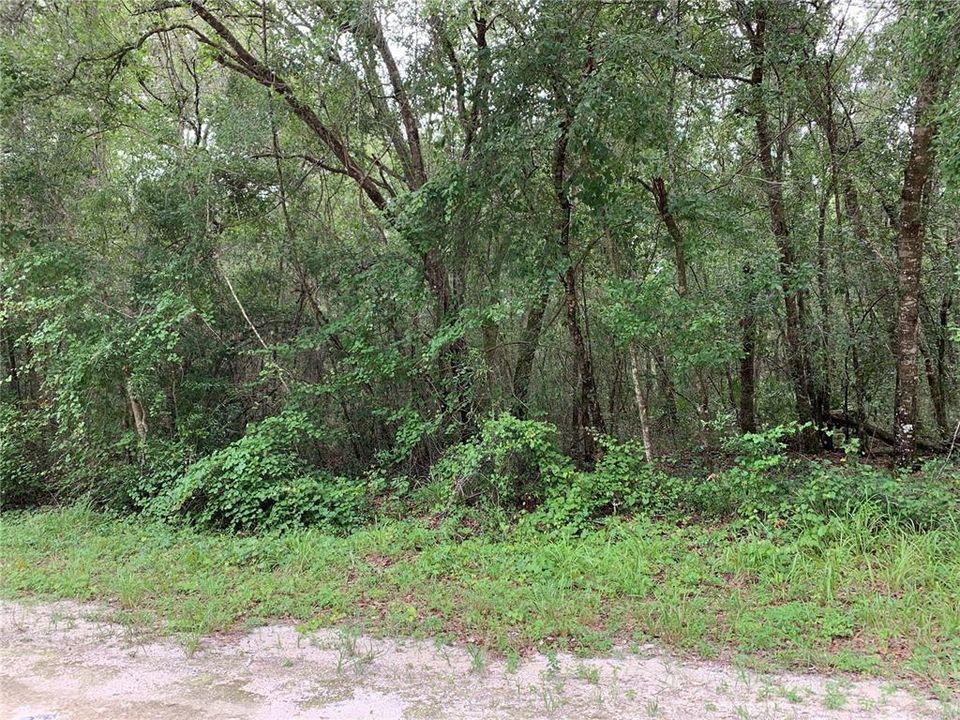 Recently Sold: $49,000 (4.50 acres)