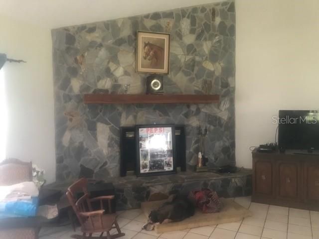 Stone Wood Burning Fireplace