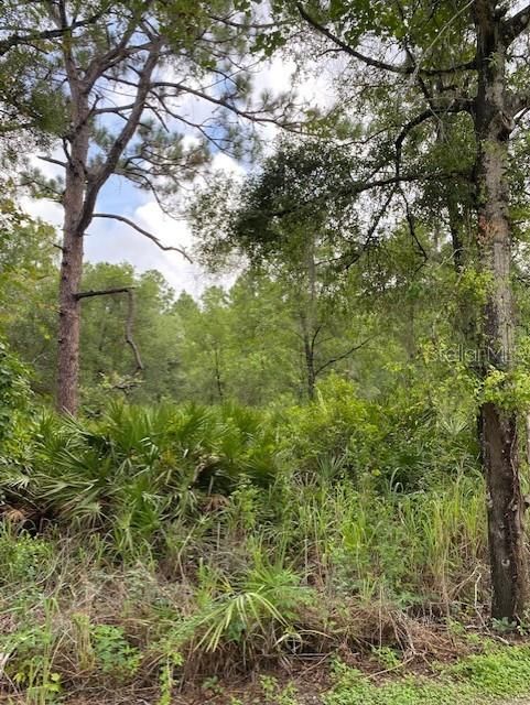 Recently Sold: $20,000 (0.19 acres)