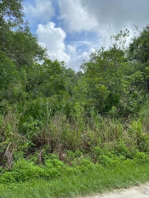 Recently Sold: $30,000 (0.29 acres)