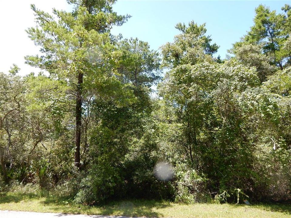 Recently Sold: $75,000 (1.62 acres)