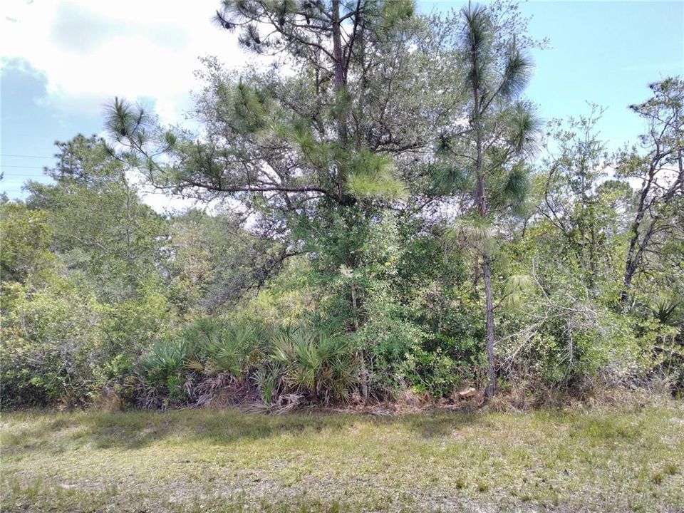 Recently Sold: $72,900 (1.27 acres)