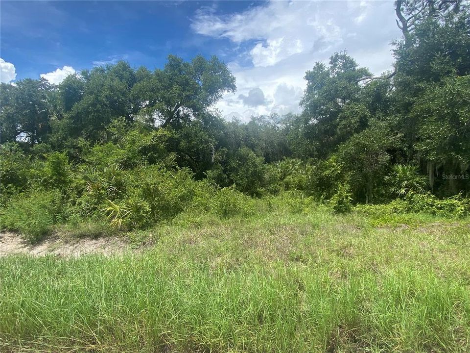 Recently Sold: $45,000 (1.00 acres)