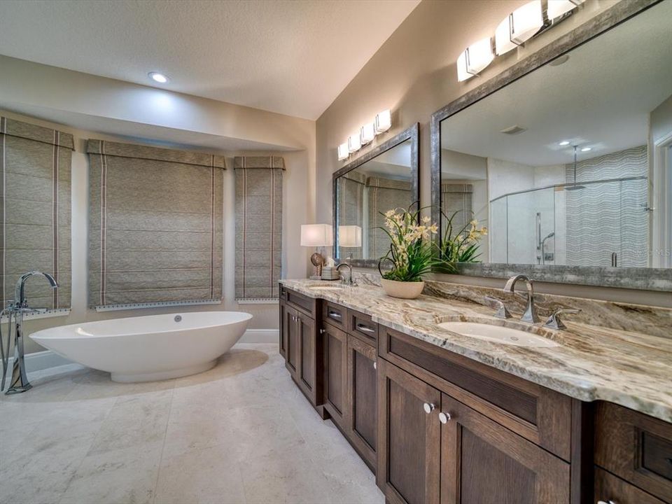 This large and  plush master bath is exquisite. Free standing soaking tub, private water closet with Toto Bidet toilet and stunning stone counters.