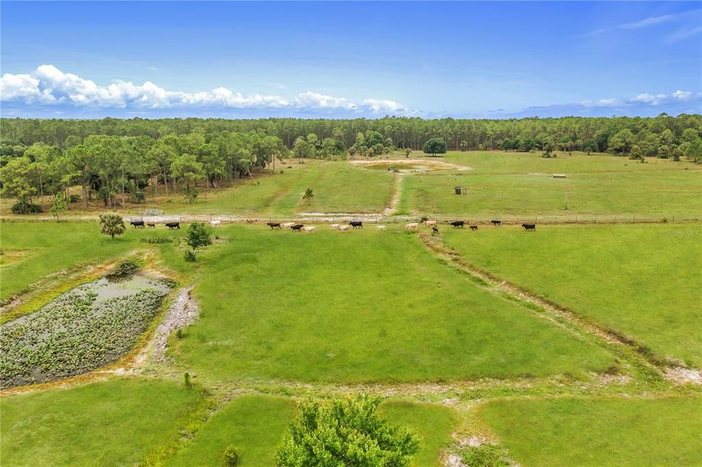 Recently Sold: $1,450,000 (100.00 acres)
