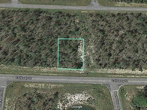 Recently Sold: $2,495 (0.23 acres)