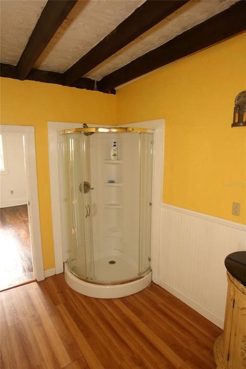 Yellow House - Shower