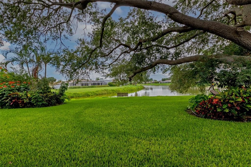 Absolutely gorgeous back yard.