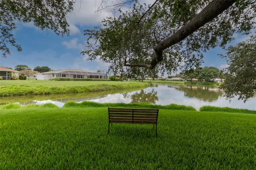 This bench is waiting for you . . .