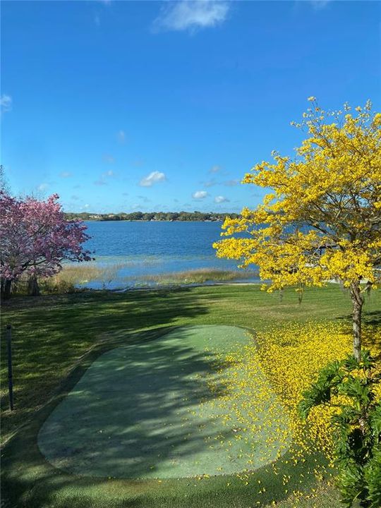 Practice your short game on your private waterfront putting green.