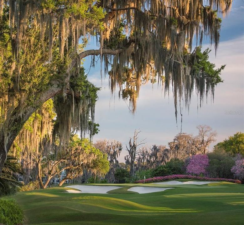 For several decades, Isleworth thrived as a citrus-producingoperation before golf legend Arnold Palmer uncovered its potential for a world-class golf course and country club.