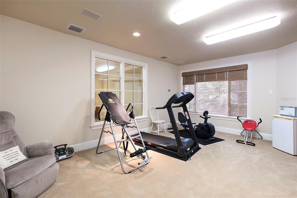 On the ground level, the estate features a designated fitness room with direct access to the garage.