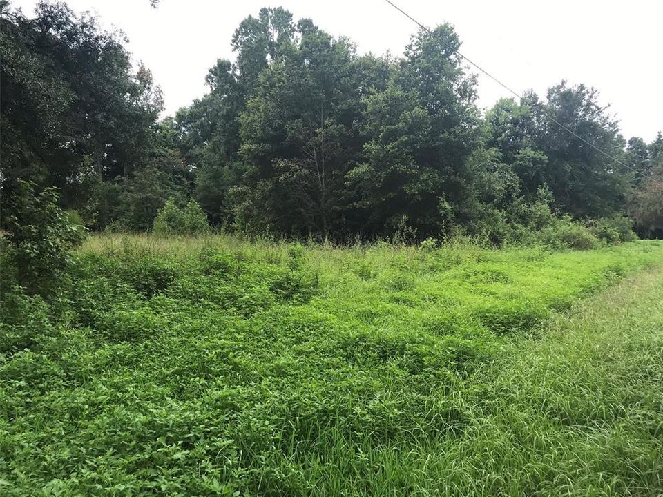 最近售出: $39,900 (0.89 acres)