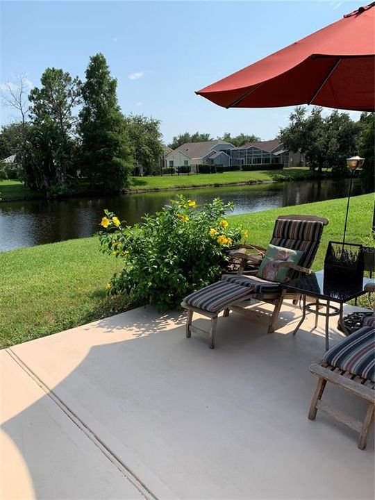 Patio view