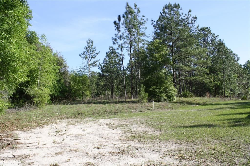 Recently Sold: $30,000 (2.28 acres)