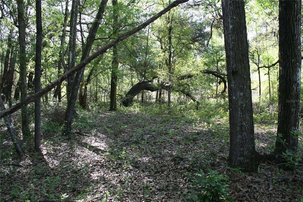 Recently Sold: $30,000 (2.28 acres)